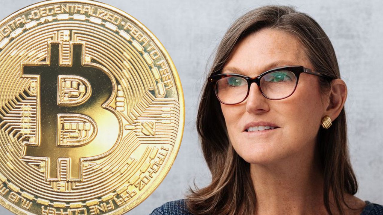 Cathie Wood Next To A Bitcoin Symbol