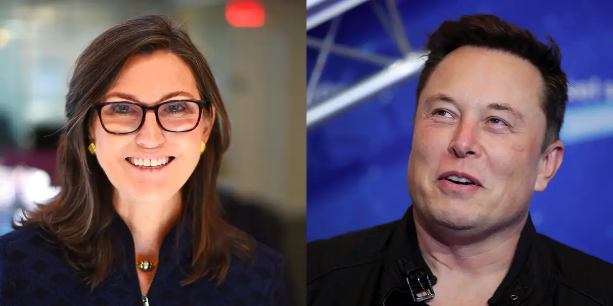 Cathie Wood And Elon Musk