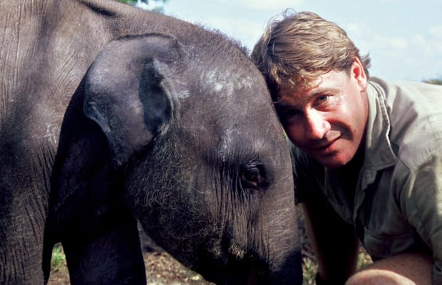 Stevie Irwin Near An Elephant