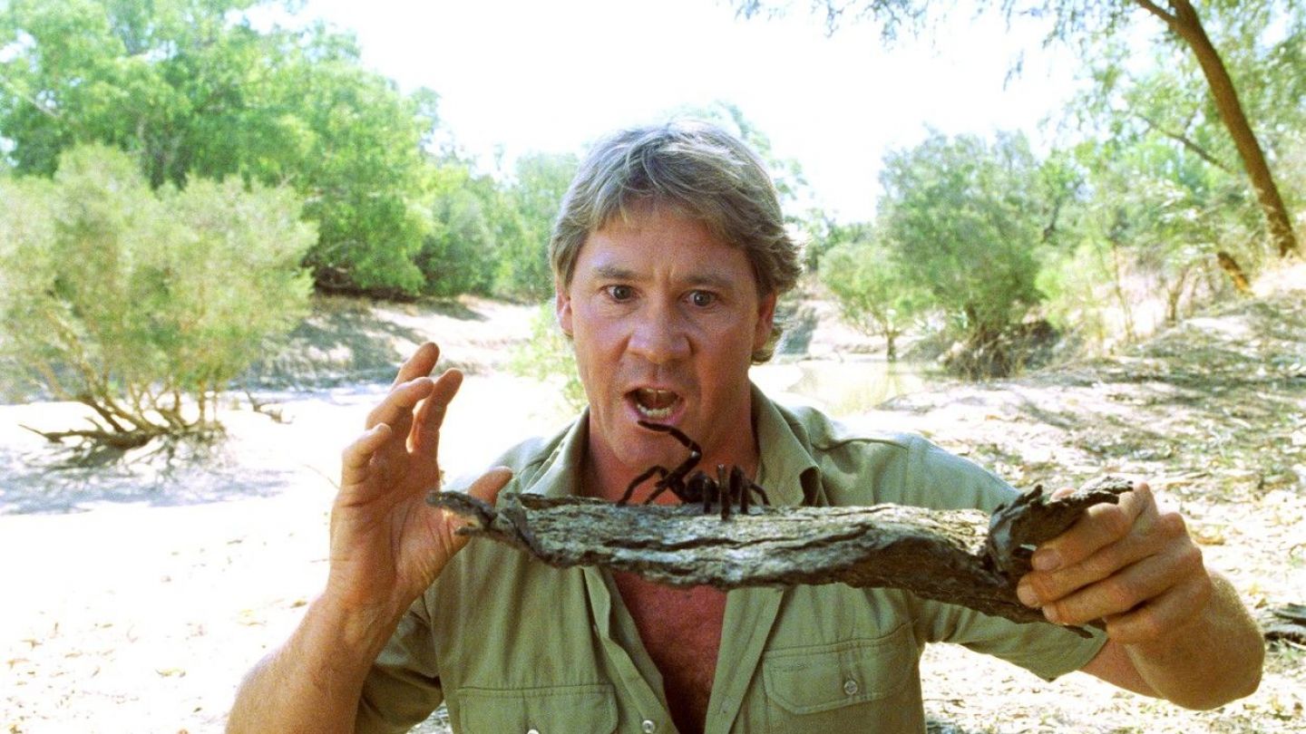 Steve Irwin Looking At A Spider