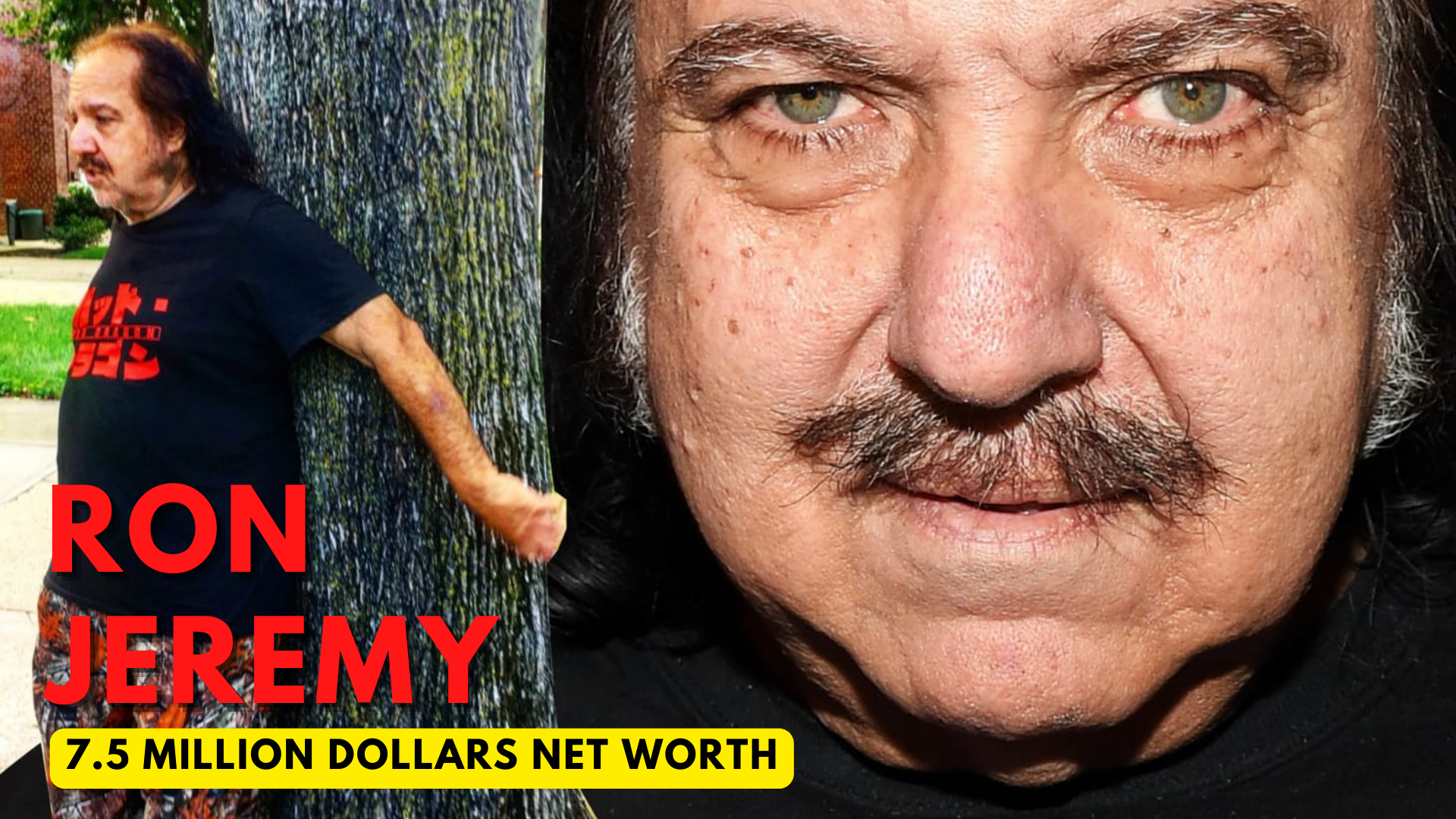 Ron Jeremy holding on a tree and his close up face on the left