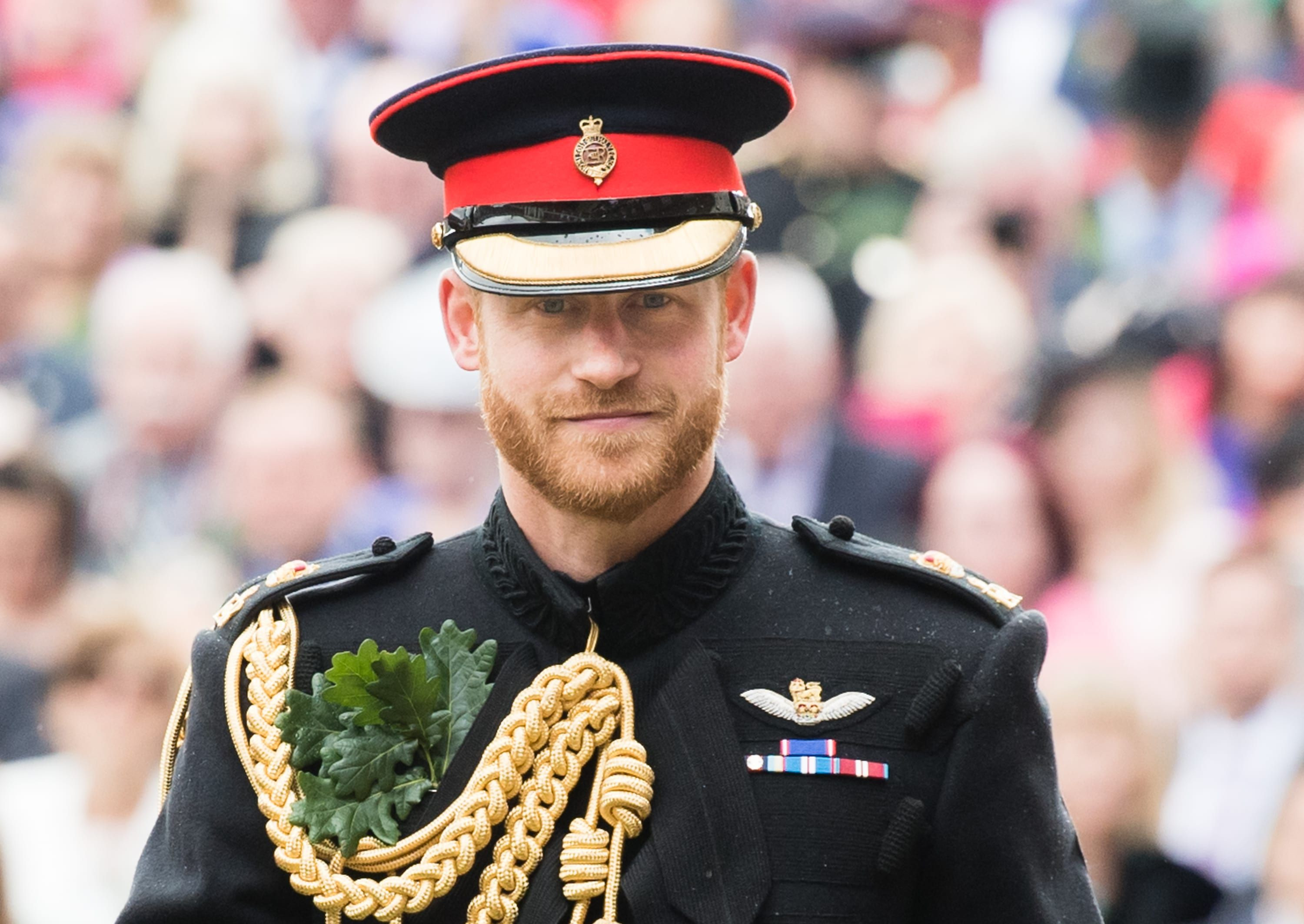 Prince Harry And Andrew Uniform Ruling - "Working" Royals Are Allowed