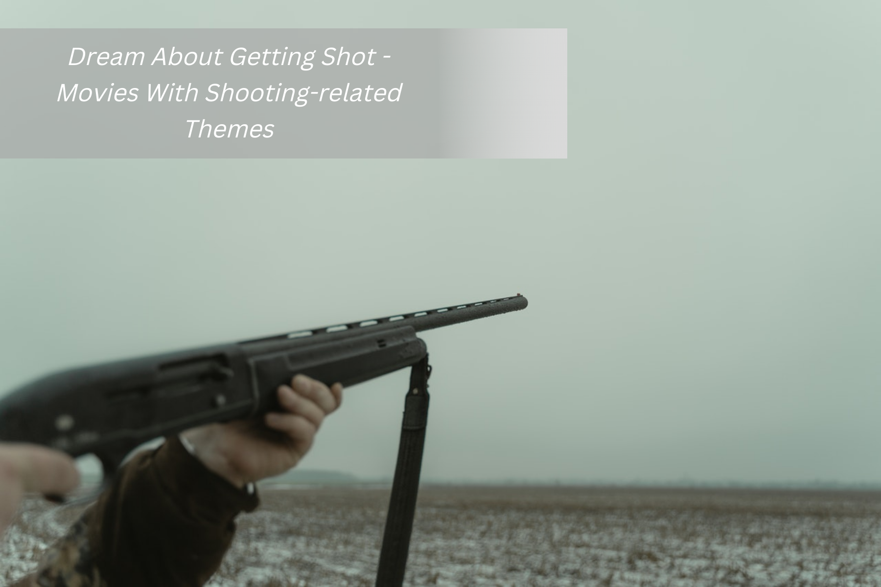 Dream About Getting Shot - Movies With Shooting-related Themes