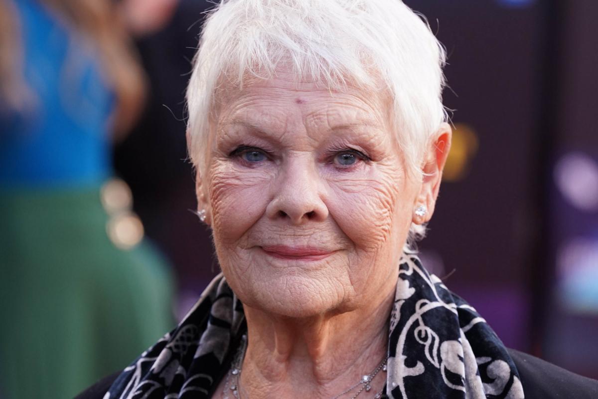 Dame Judi Dench Can't Read Or Write Due To Advanced Macular Degeneration