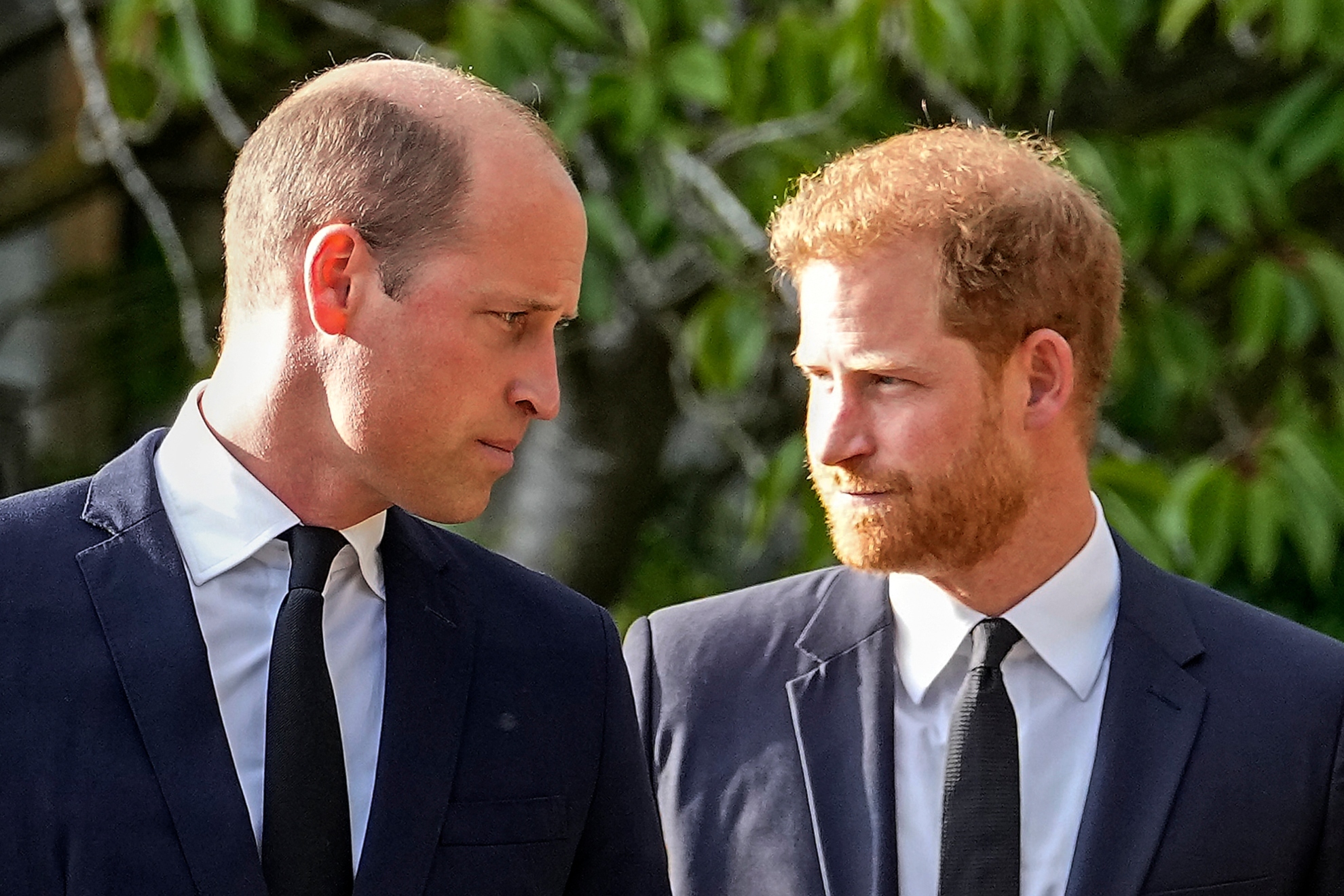 Prince Harry And Prince William Asked King Charles Not To Marry Queen Camilla