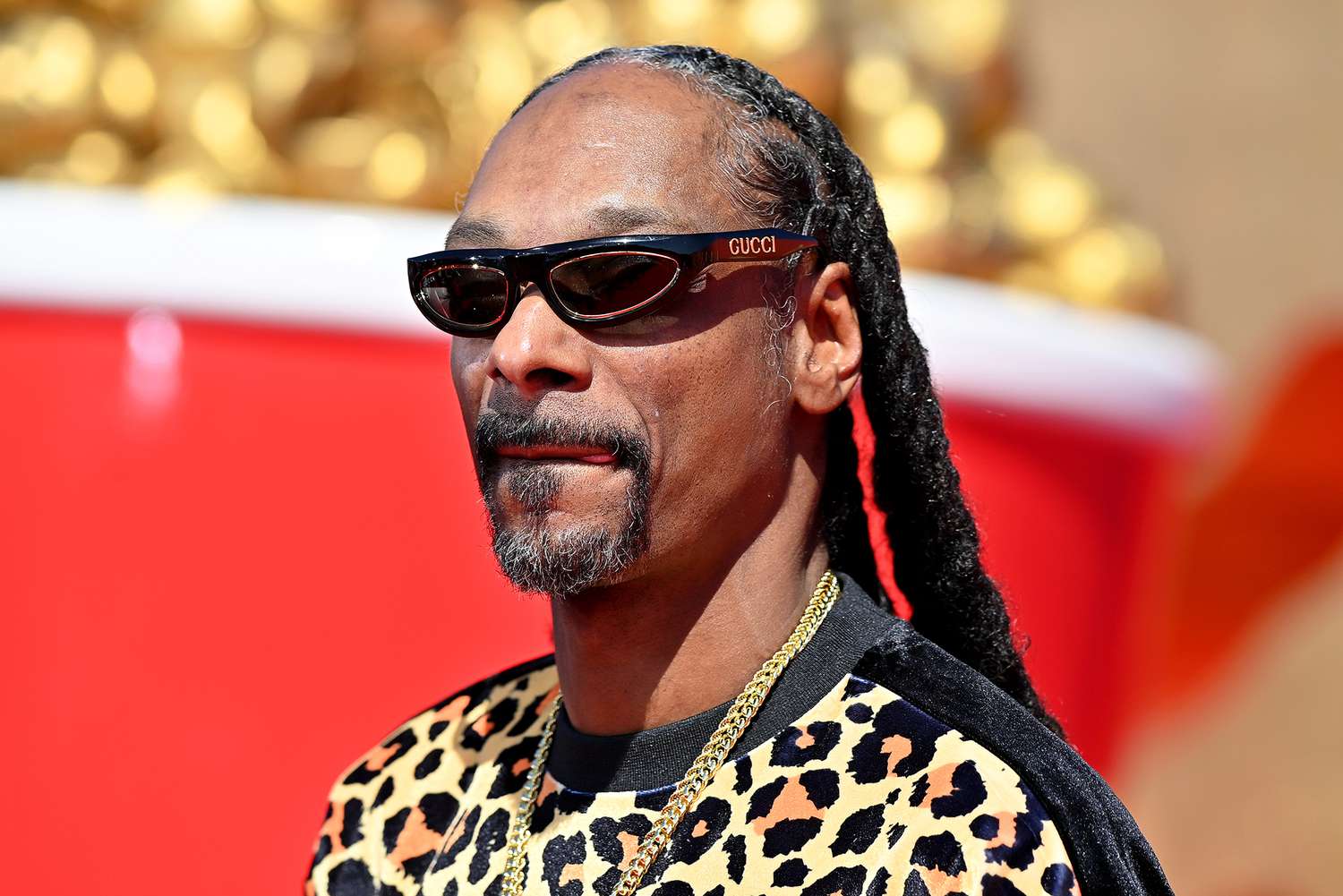 Snoop Dogg Net Worth - How Much Wealth Does Snoopy Have?