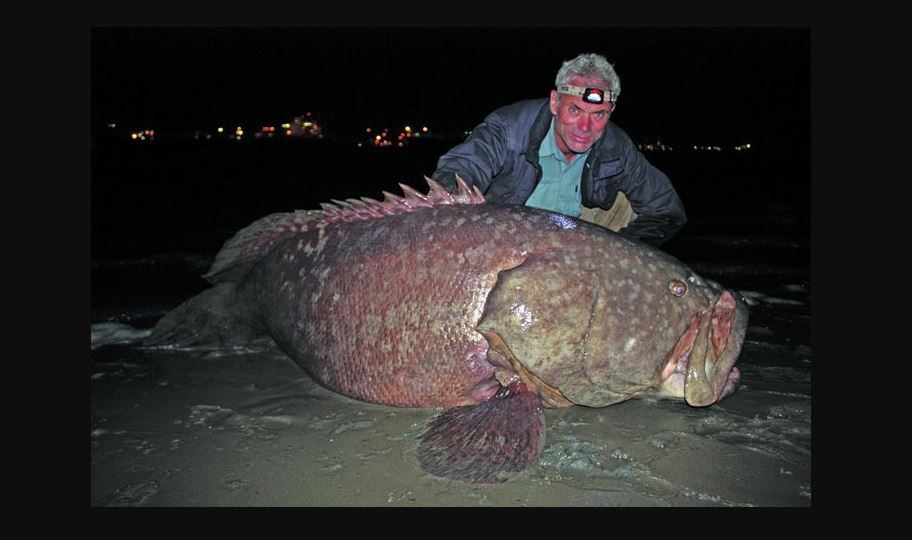 Jeremy Wade holding a big fish on the bank of a river