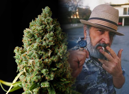 Who Is Jack Herer? Read His Biography | Pure Net Worth