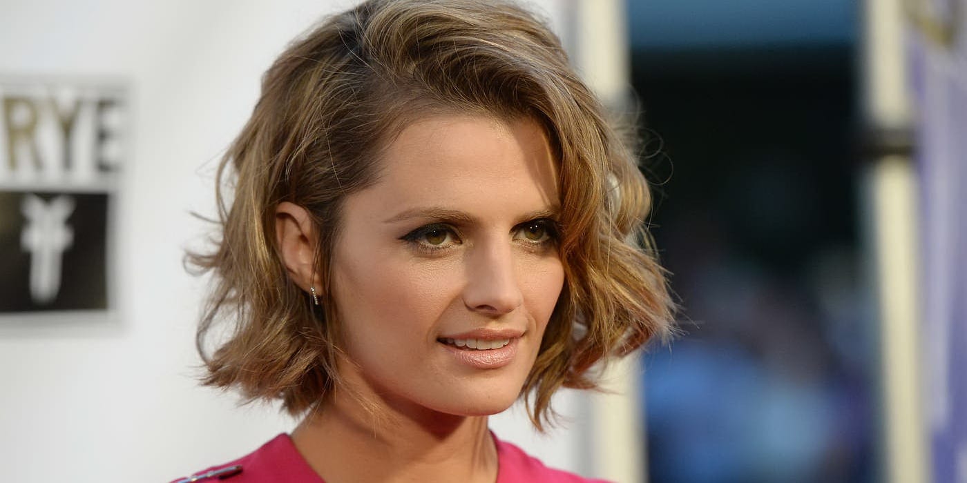 Stana Katic Net Worth - A Multi-Talented Actress And Philanthropist